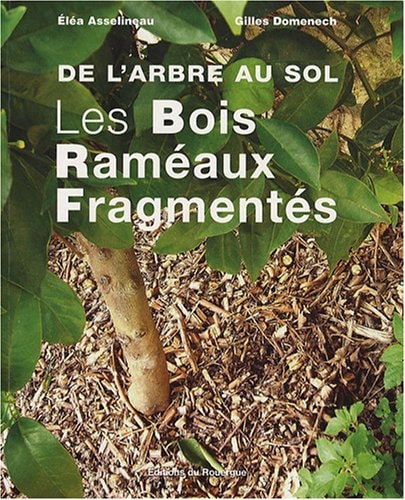 DE L'ARBRE AU SOL, LES BOIS RAMEAUX FRAGMENTES, de Eléa Asselineau | portada del libro