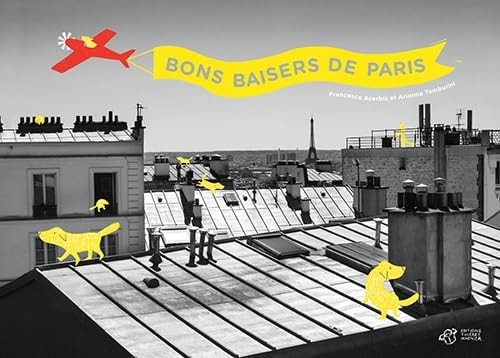 BONS BAISERS DE PARIS, de Francesco Acerbis | portada del libro