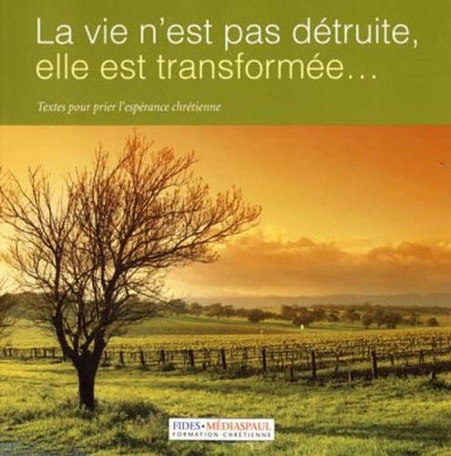 VIE N'EST PAS DETRUITE ELLE EST TRANSFORMEE, de Renaat Van Hove | portada del libro