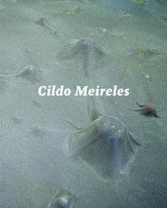 CILDO MEIRELES, de ANJOS | portada del libro