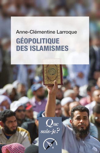 EOPOLITIQUE DES ISLAMISMES, de Anne-Clémentine Larroque | portada del libro