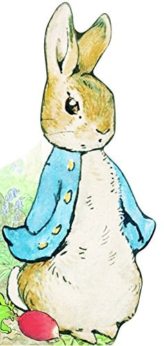 BONJOUR PIERRE LAPIN, de Beatrix Potter | portada del libro