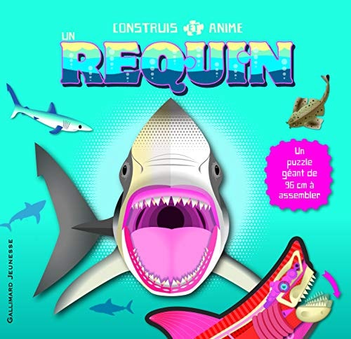 CONSTRUIS ET ANIME UN REQUIN, de Jen Green | portada del libro