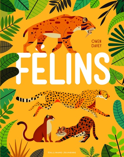 FELINS, de Owen Davey | portada del libro