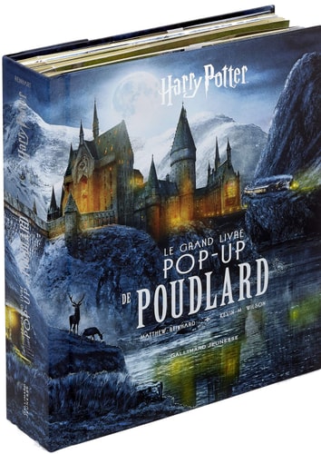 HARRY POTTER LE GRAND LIVRE POP-UP DE POUDLARD, de Matthew Reinhard | portada del libro