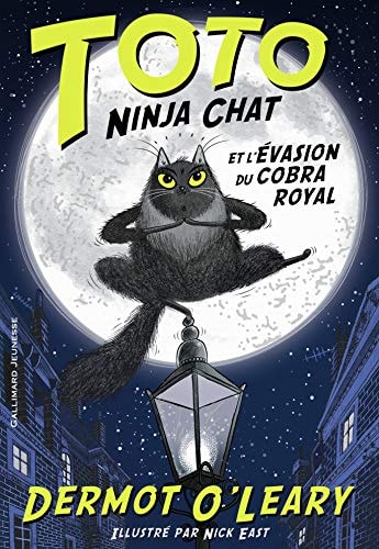 TOTO NINJA CHAT ET L'EVASION DU COBRA ROYAL, de Dermot O'Leary | portada del libro