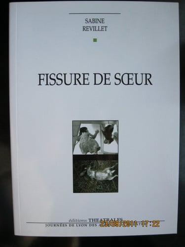 FISSURE DE SOEUR, de REVILLET SABINE | portada del libro