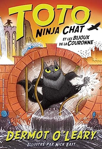TOTO NINJA CHAT ET LES BIJOUX DE LA COURONNE, de Dermot O'Leary | portada del libro