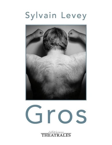 GROS, de LEVEY SYLVAIN | portada del libro