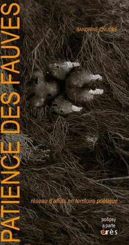 PATIENCE DES FAUVES, de CNUDDE SANDRINE | portada del libro