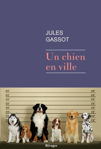 UN CHIEN EN VILLE, de Jules Gassot | portada del libro