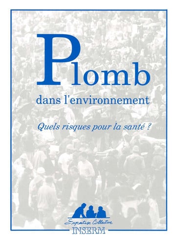 PLOMB DANS L'ENVIRONNEMENT QUELS RISQUES POUR LA SANTE ?, de COLLECTIF | portada del libro