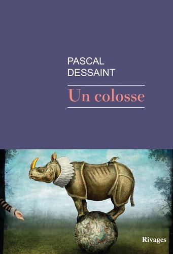 UN COLOSSE, de Pascal Dessaint | portada del libro