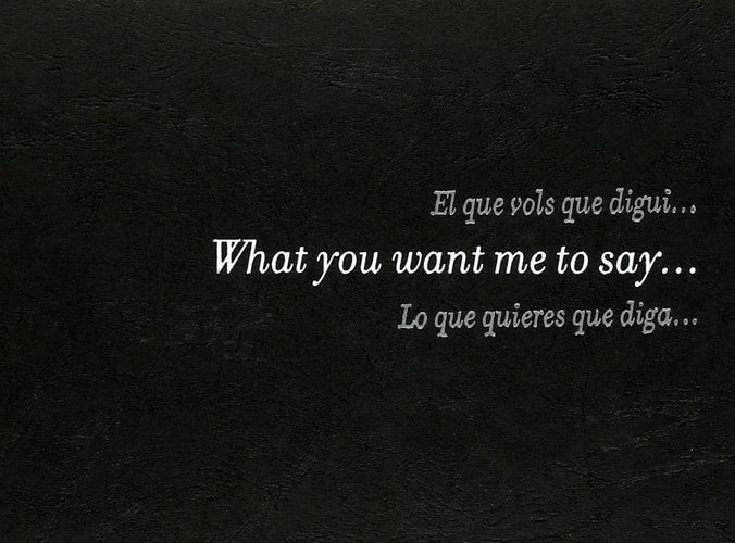 DOUGLAS GORDON, WHAT YOU WANT ME TO SAY--, de GORDON | portada del libro