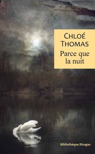 PARCE QUE LA NUIT, de Chloé Thomas | portada del libro