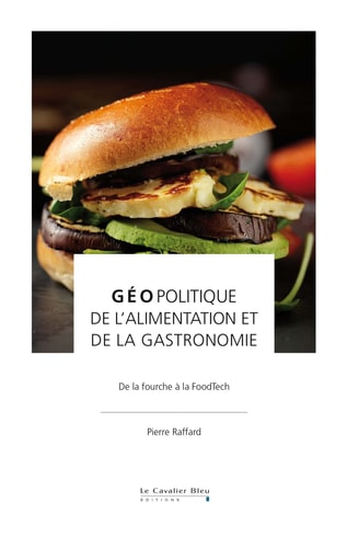 GEOPOLITIQUE DE L'ALIMENTATION ET DE LA GASTRONOMIE, de Pierre Raffard | portada del libro