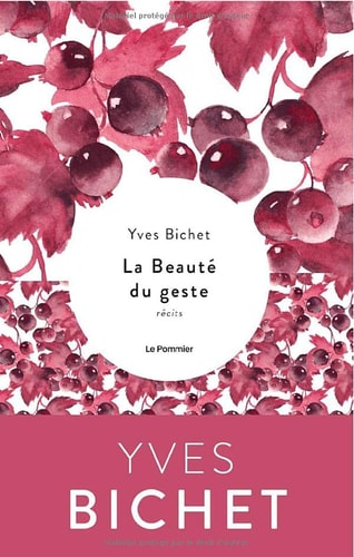 A BEAUTE DU GESTE, de Yves Bichet | portada del libro