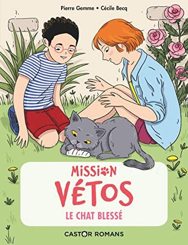 HAT BLESSE, de GEMME#BECQ PIERRE#CECILE | portada del libro