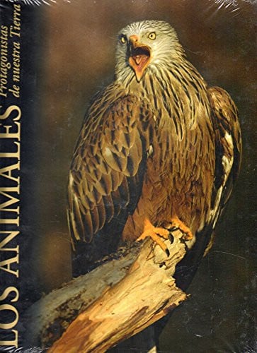BOSQUES | portada del libro