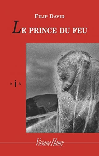 RINCE DU FEU, de Filip David | portada del libro