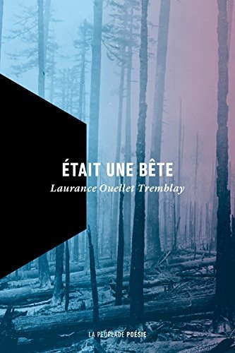 ETAIT UNE BÊTE, de Laurance Ouellet Tremblay | portada del libro