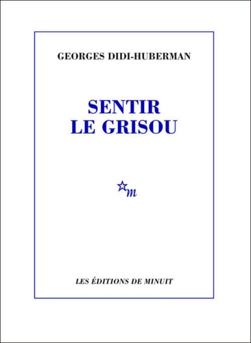SENTIR LE GRISOU, de Georges Didi-Huberman | portada del libro