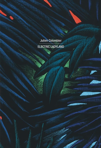 JULIEN COLOMBIER ELECTRIC LADYLAND, de Julien Colombier | portada del libro