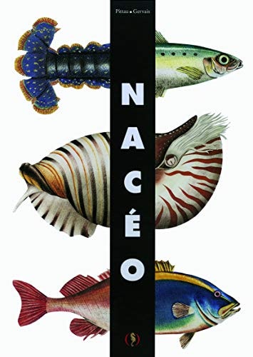 NACEO, de Francesco Pittau | portada del libro