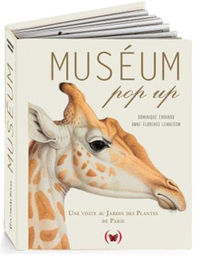 MUSEUM POP-UP, de Dominique Ehrhard | portada del libro