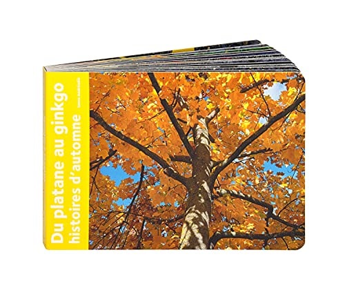 DU PLATANE AU GINGKO HISTOIRES D'AUTOMNE, de Ianna Andréadis | portada del libro