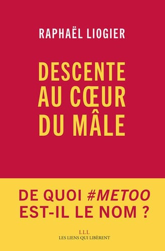 DESCENTE AU COEUR DU MLE, de RAPHAÓL LIOGIER | portada del libro