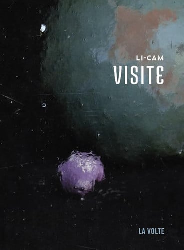 VISITE, de LI-CAM | portada del libro