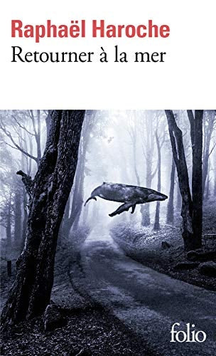 RETOURNE A LA MER, de Raphaël Haroche | portada del libro