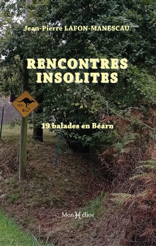 RENCONTRES INSOLITES, de Lafon-Manescau | portada del libro