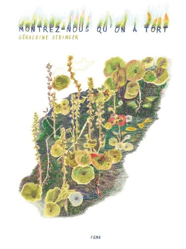 MONTREZ-NOUS QU'ON A TORT, de STRINGER GERALD | portada del libro