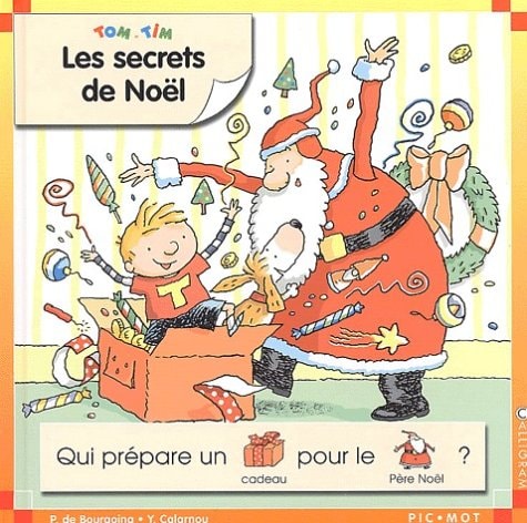 TOM ET TIM LES SECRETS DE NOEL, de Pascale de Bourgoing | portada del libro