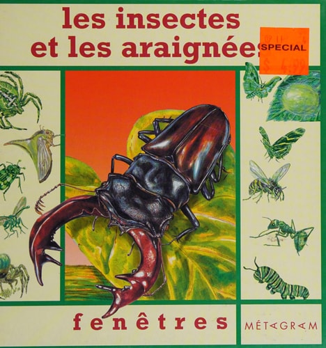 LES INSECTES ET LES ARAIGNEES 6, de Penny Clarke | portada del libro