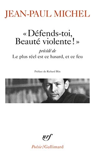 DEFENDS-TOI BEAUTE VIOLENTE, de JEAN PAUL MICHEL | portada del libro