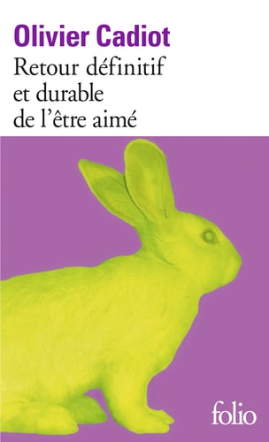 RETOUR DEFIN ET DURABLE, de Olivier Cadiot | portada del libro