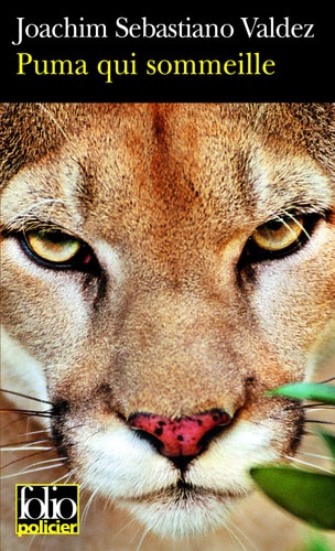 PUMA QUI SOMMEILLE, de Joachim Sebastiano Valdez | portada del libro