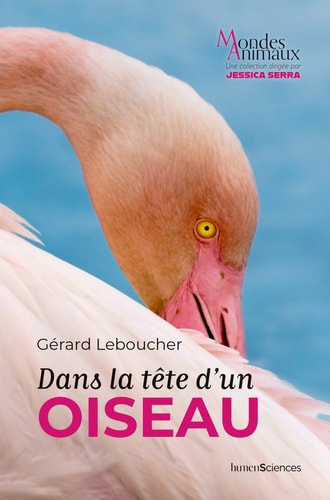 ANS LA TETE D'UN OISEAU, de Gérard Leboucher | portada del libro