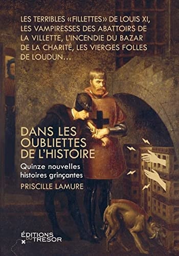 DANS LES OUBLIETTES DE L'HISTOIRE, de LAMURE PRISCILL | portada del libro