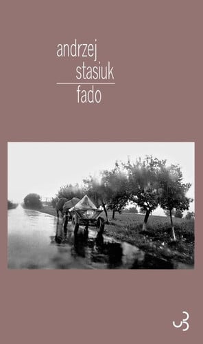 FADO, de STASIUK ANDRZEJ | portada del libro