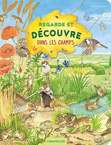 REGARDE ET DECOUVRE DANS LES CHAMPS, de COLLECTIF | portada del libro
