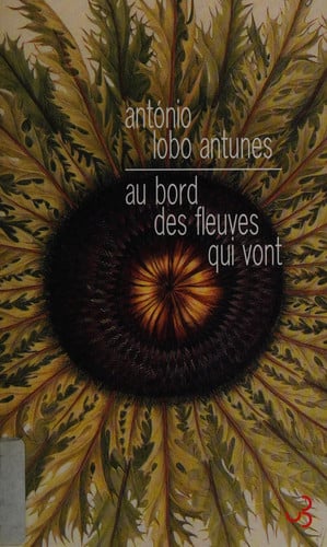 AU BORD DES FLEUVES QUI VONT, de LOBO ANTUNES A | portada del libro