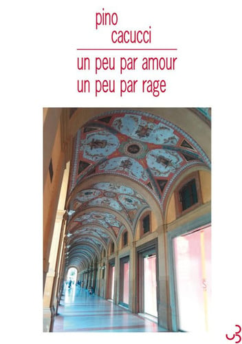 UN PEU PAR AMOUR UN PEU PAR RAGE, de CACUCCI PINO | portada del libro