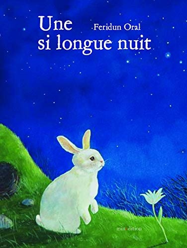 SI LONGUE NUIT UNE, de Feridun Oral | portada del libro