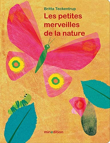 PETITES MERVEILLES DE LA NATURE, de Britta Teckentrup | portada del libro