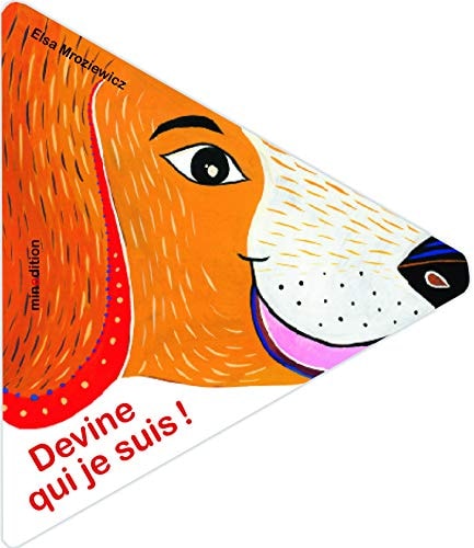 DEVINE QUI JE SUIS, de Elsa Mroziewicz | portada del libro