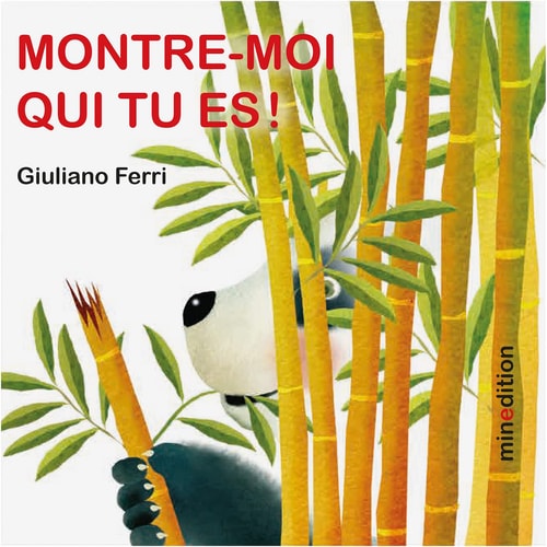 MONTRE-MOI QUI TU ES, de Giuliano Ferri | portada del libro
